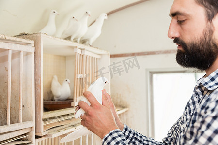 鸟类饲养员摄影照片_鸽舍里有鸽子的男人