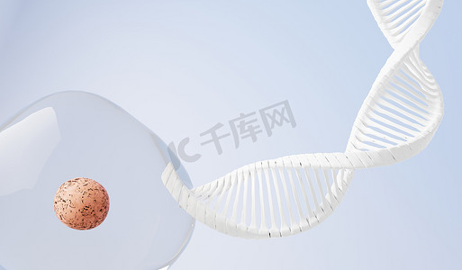染色体摄影照片_3d 渲染 RNA 的 DNA 的螺旋互补链。