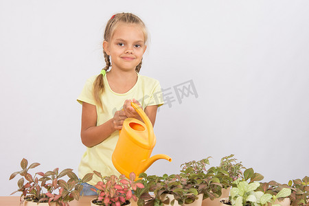 六岁女孩给盆栽浇水