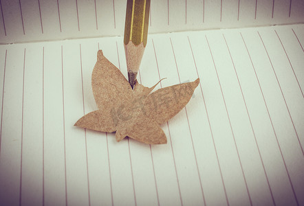 用纸剪出蝴蝶的形状