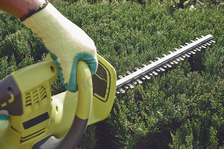 戴着彩色手套的无名工人的手正在阳光明媚的花园里用电动绿篱机修剪杂草丛生的绿色灌木。