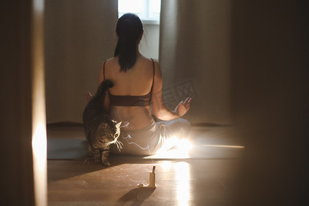 做运动的猫摄影照片_年轻女子在家里和她的猫一起做瑜伽和练习冥想。