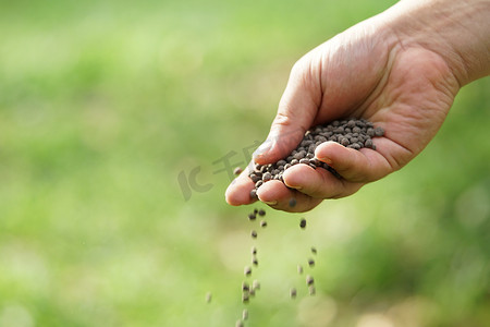 肥料摄影照片_人的手正在播种肥料。