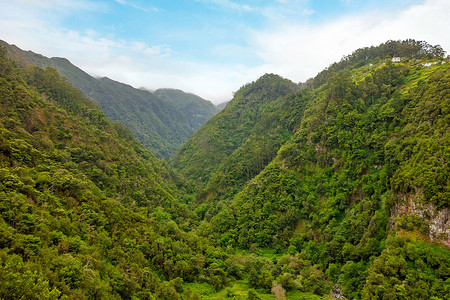 绿色热带森林山谷