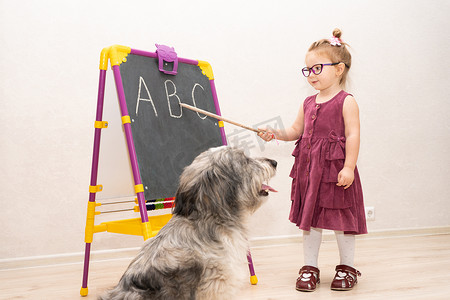 女孩向她心爱的狗展示了黑板上用粉笔写的字母 B。