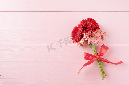 粉红色木桌上的红色非洲菊雏菊花