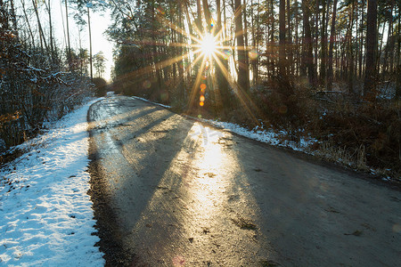穿过森林和阳光的路，冬日阳光明媚的日子