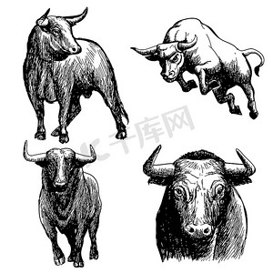 手绘牛摄影照片_一套公牛涂鸦手绘