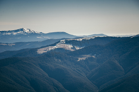 山，雪中的针叶林，春天，冬天