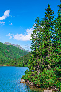 云水纹摄影照片_莫斯基奥科山湖岸边的针叶树