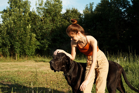 夏天在田野里与狗玩耍的女人友谊