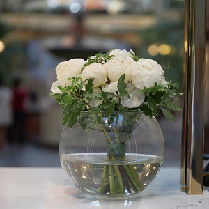 商店橱窗上的圆形玻璃花瓶里有一束白牡丹花蕾，上面有细叶海桐枝条