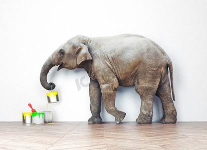大象与油漆罐
