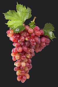 粉色小红书摄影照片_成熟的红葡萄。