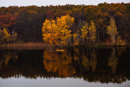 森林附近的黄色小船，有金色的秋树