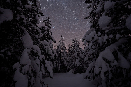 冬天的夜晚风景自然森林