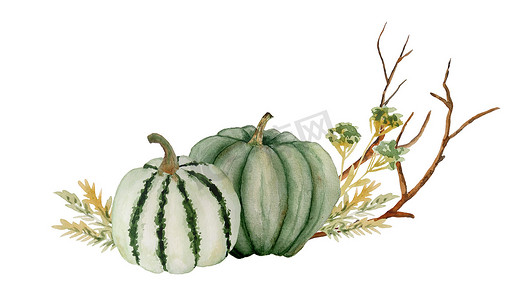 绿色食物插图摄影照片_水彩手绘绿色中性南瓜、木林树叶和棕色树枝的构图插图。