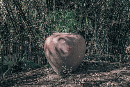 旧的大土罐或大型老式粘土罐，用于花园地面上的储水，有许多绿树自然。