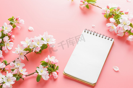 粉色春天模板摄影照片_粉红色背景上盛开的春天樱花，带有记事本空间，用于问候消息。