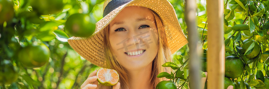 横幅，长格式肖像有魅力的农妇在有机农场收获橙子，快乐的女孩在花园、农业和种植园概念中收获橙子时幸福情感