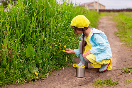 一个小女孩，坐在一条小路上，在绿色草坪附近的草地上收集蒲公英