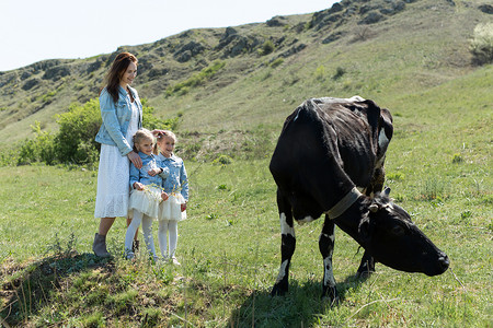一位年轻的母亲和她的双胞胎女儿看着村里草地上的一头黑牛