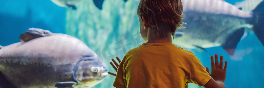 长摄影照片_小男孩，孩子们看着水族馆里游泳的鱼群，孩子们在水族馆里享受水下生活横幅，长格式