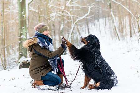 女人和狗在雪地里击掌