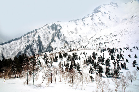 日本阿尔卑斯山摄影照片_日本阿尔卑斯山，冬天的山上有雪。
