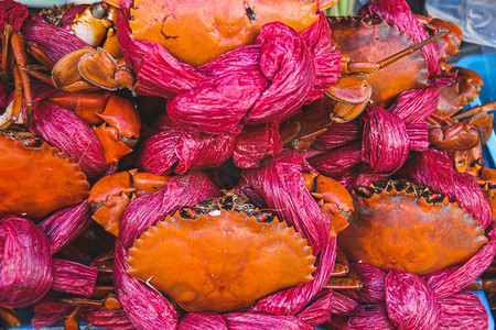 清蒸螃蟹摄影照片_Ghe Hap Bia 或蜜蜂蒸螃蟹