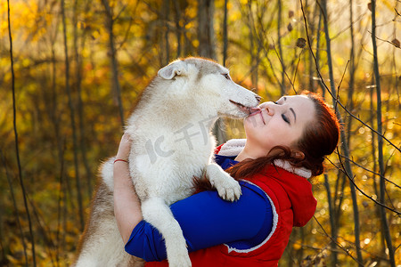 狗饲养员在秋天的森林里和她的哈士奇狗拥抱