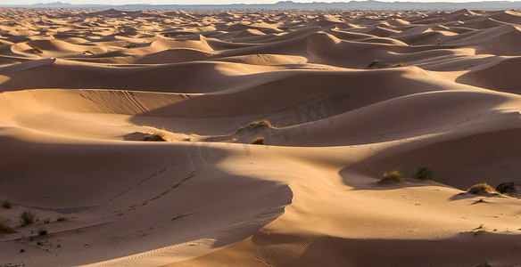 撒哈拉沙漠风景优美的沙丘