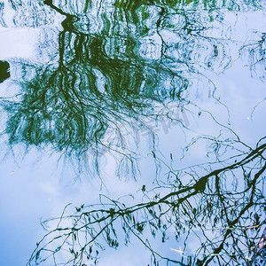 免费涟漪摄影照片_水面上树枝的倒影