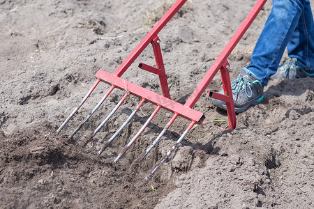 一位穿着牛仔裤的农民用红色叉形铲子挖地。