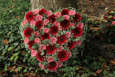 慰问金发放表摄影照片_树附近的心形同情花或葬礼花、粉红玫瑰、大丁草和桉树