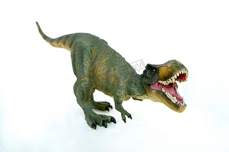 白色背景上的霸王龙恐龙玩具