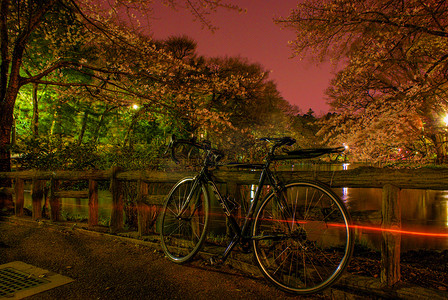 井公园夜景