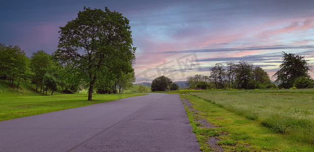 大树道路摄影照片_有大树的森林道路在蓝色小时，在日落之后