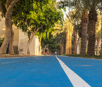 公园内有慢跑道和自行车道。