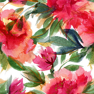 粉红牡丹植物水彩无缝图案