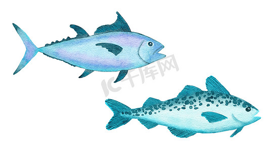 卡通海洋海洋动物摄影照片_蓝色绿松石紫色热带鱼、海洋水下野生动物的水彩插图。
