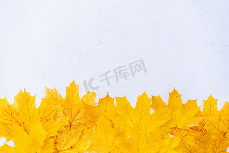 秋叶框架在白色背景顶视图秋季边框黄色和橙色叶子复古结构表复制文本空间。