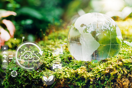 地球资源摄影照片_自然森林中的玻璃球与环境图标