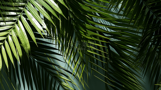 棕榈背景背景图片_模糊的自然光影覆盖在墙纸纹理抽象背景演示样机上。