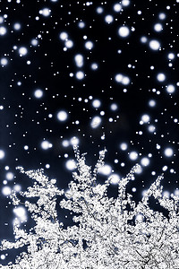 圣诞节、新年黑色花卉背景、节日贺卡设计、花树和雪花作为豪华美容品牌的冬季促销背景