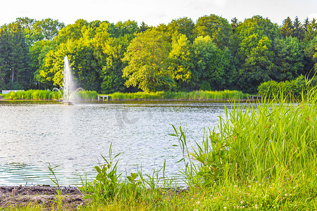 自然全景湖喷泉绿色植物树木森林德国。
