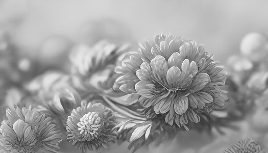 数字艺术背景新鲜花卉红色和橙色的菊花充满活力的叶子
