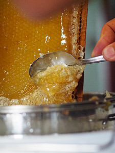 蜂巢边框摄影照片_养蜂人在家中从蜂巢中提取和滴下有机蜂蜜
