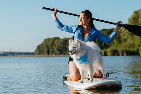 雪白的日本斯皮茨狗站在 Sup 板上，女人带着她的宠物在城市湖上划桨