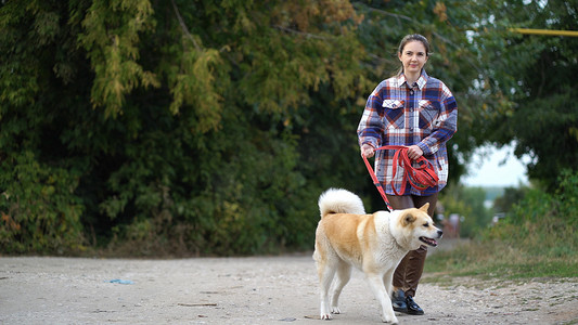 穿着格子衬衫的女人在户外散步时用红色皮带牵着秋田犬